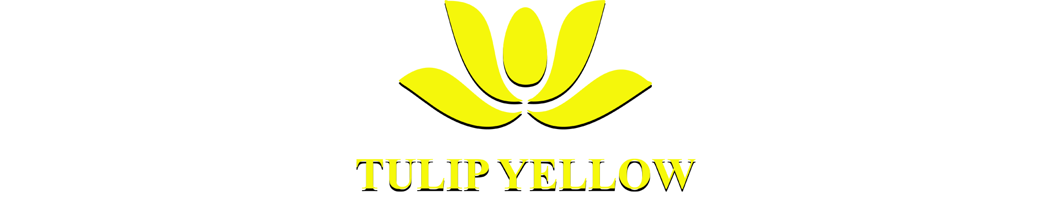 Tulip Yellow